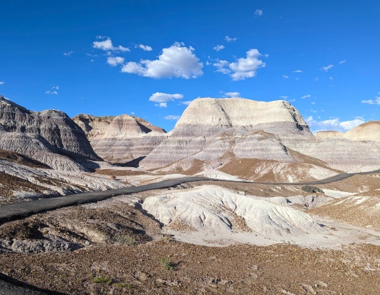 2.50 Acres in Stunning Navajo County, Arizona!
