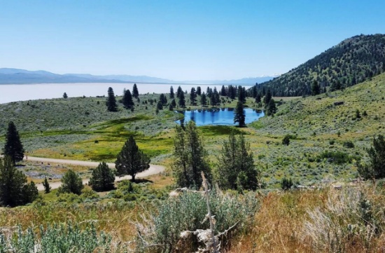 USA Nationwide Land Auction: Bid Today!