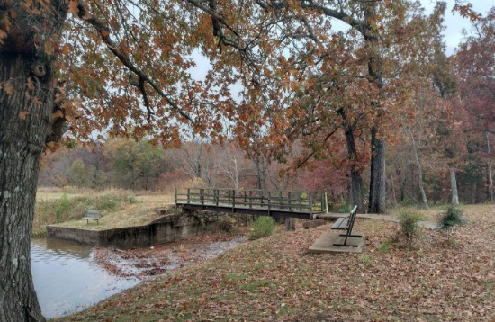 3 Adjacent Lots in Sharp County, AR - Build Your Dream!