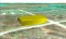 Build on This Prime Michigan Corner Lot!
