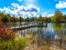Culture and Nature in Lake County, MI!