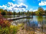 Culture and Nature in Lake County, MI!