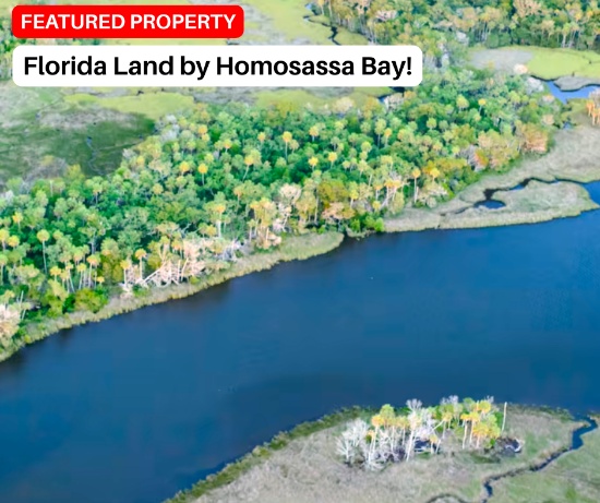 Florida Land by the Homosassa Bay in Citrus County!