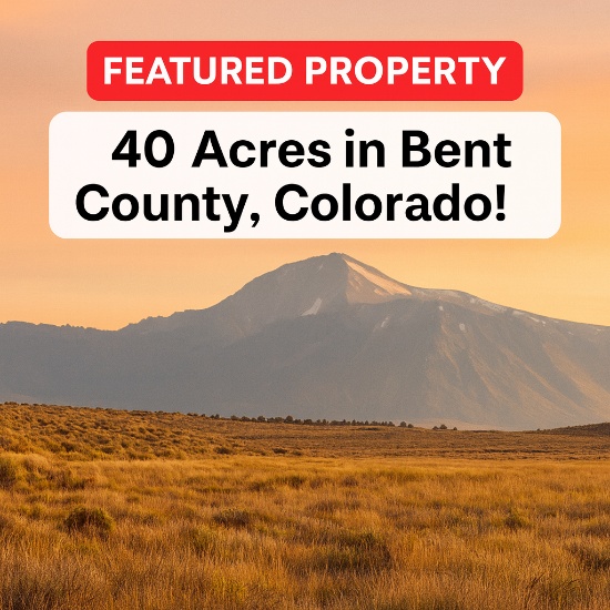 Invest in 40 Acres of Southern Colorado Land!