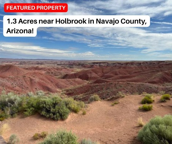 Invest in 1.3 Acres Near Holbrook, Arizona!