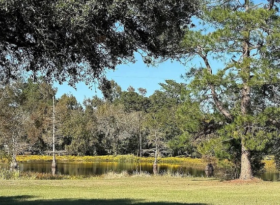 Desirable, Buildable Texas Land!