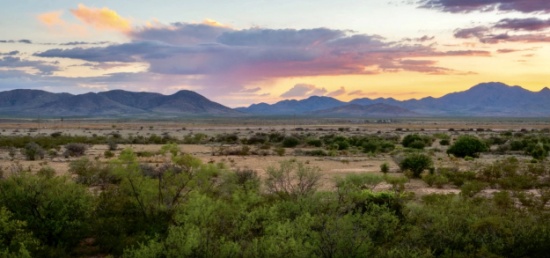 Invest in Growth in New Mexico!