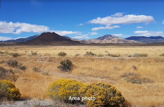 40 Rugged Acres in Elko County, Nevada!