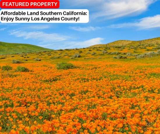 Affordable Land in Southern California: Enjoy Sunny Los Angeles County!
