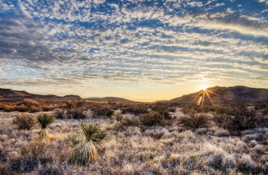 20 Remote Acres in West Texas with Mountain Views!
