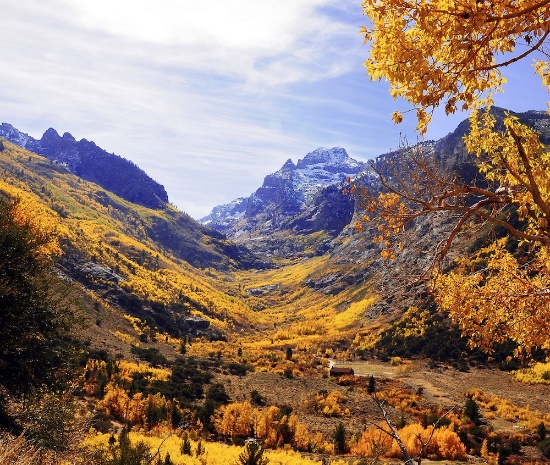 Invest in the Beauty of Nevada! BIDDING IS PER ACRE!