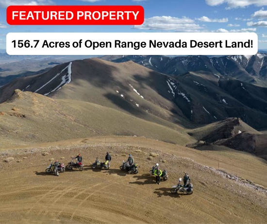 156.7 Acres of Open Range Nevada Desert Land!