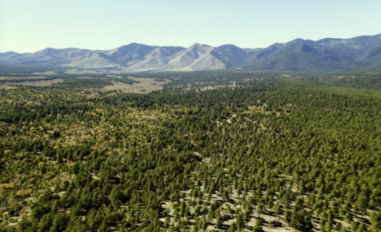 New Mexico Lot with Planned Development Zoning!