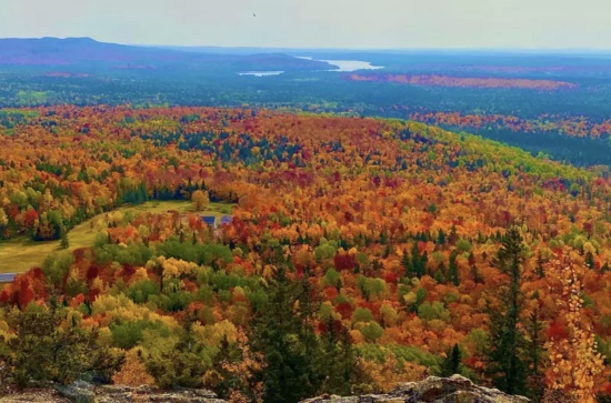 Experience Northern Maine on 17.6 Wooded Acres!