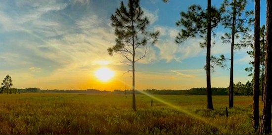 Florida's Fussels Corner Community!