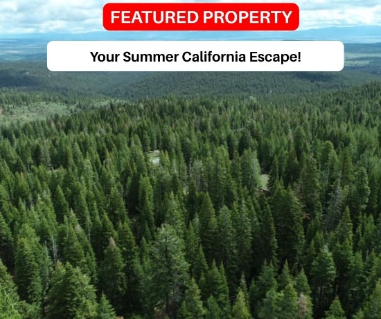 Your Summer California Escape!