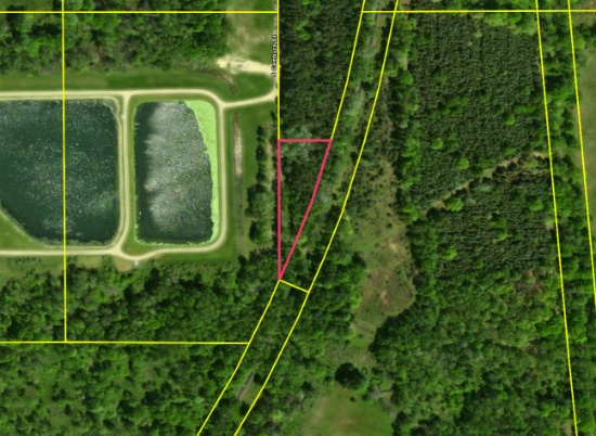 0.86 Acres in Stanton, MI - Buildable & Affordable!