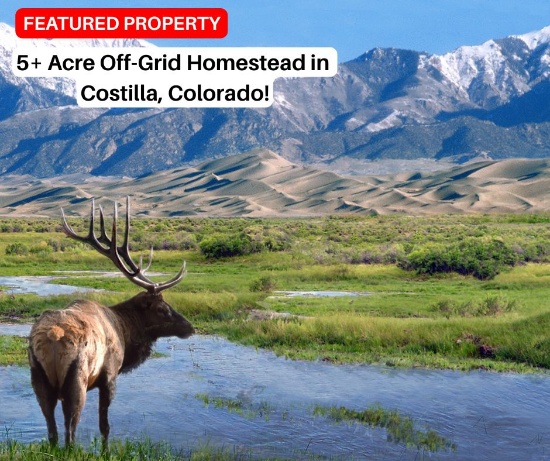 5+ Acre Off-Grid Homestead in Costilla, Colorado!