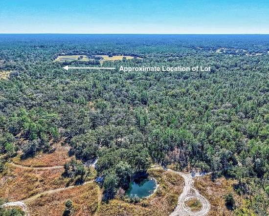 Citrus County, Florida Land Opportunity!