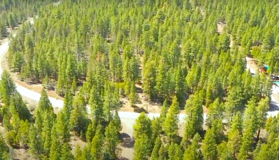 Two Buildable California Lots for the Price of One!