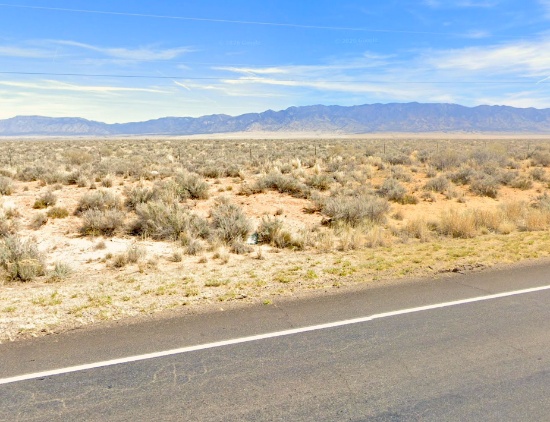 Low Cost with Tons of Upside: 1/4 Acre Lot in Valencia County, NM!