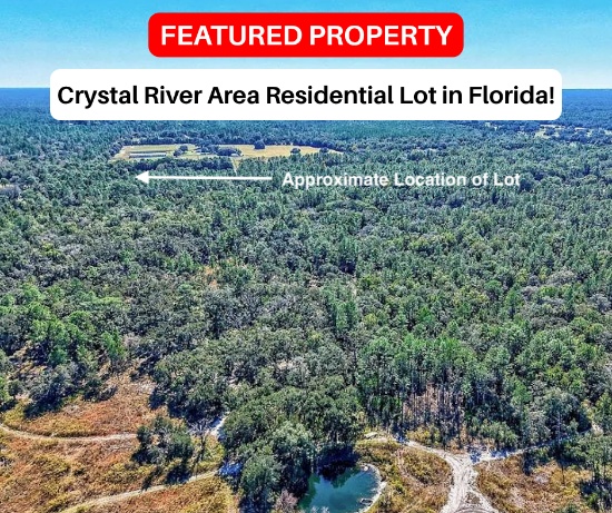 Wooded 0.33 Acre Lot in Citrus County, Florida!