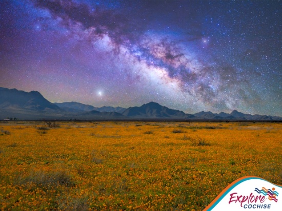 Cochise County, Arizona: Big Desert Views for Less!