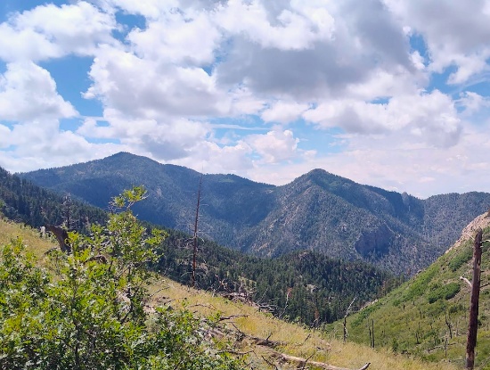 New Mexico Land Near Osha Peak!