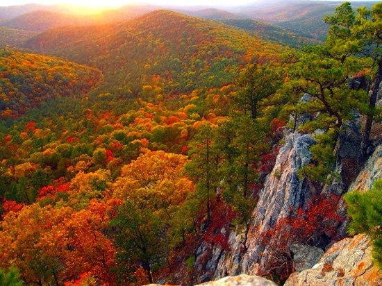 Discover Ozark Acres, Arkansas: Build, Invest & Belong!