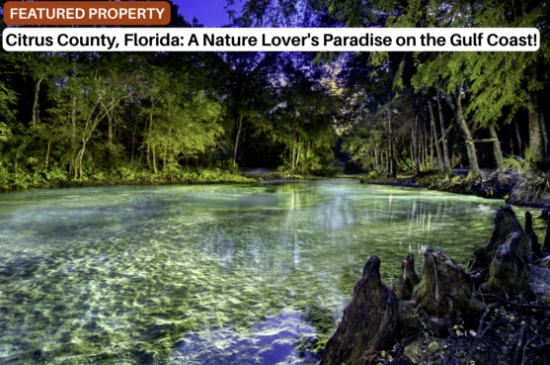 Citrus County, Florida: A Nature Lover's Paradise on the Gulf Coast!