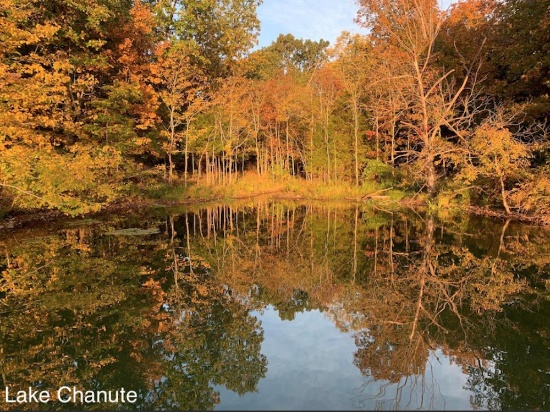 Build Between the Lakes in Cherokee Village, Arkansas!