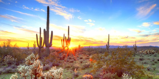 Affordable Scenic Property in Arizona's Twin Lakes Country Club!