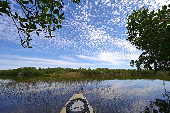 Golf and Water Sports Haven, Charlotte Co, Florida!