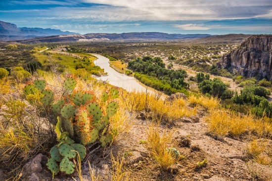 Land Ownership Made Easy!