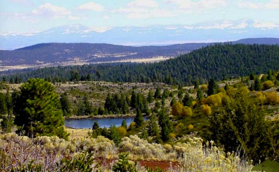 Sunshine Sanctuary: Unwind at Your Summer Retreat!
