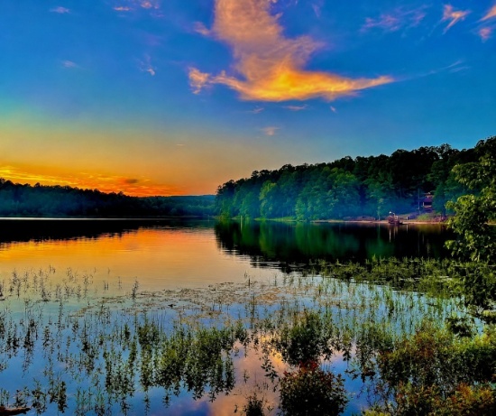 A Quiet Corner of the Ozarks to Call Yours!