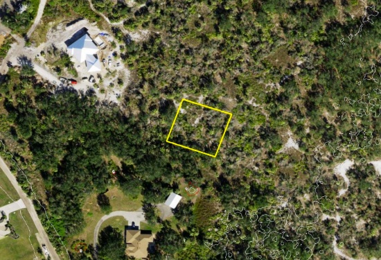 Three Adjacent Florida Lots Up for Grabs!