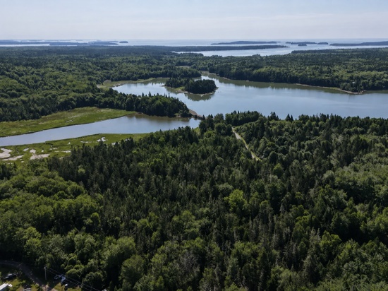 Own 90 Acres in Steuben, Maine: Your Downeast Retreat Awaits!