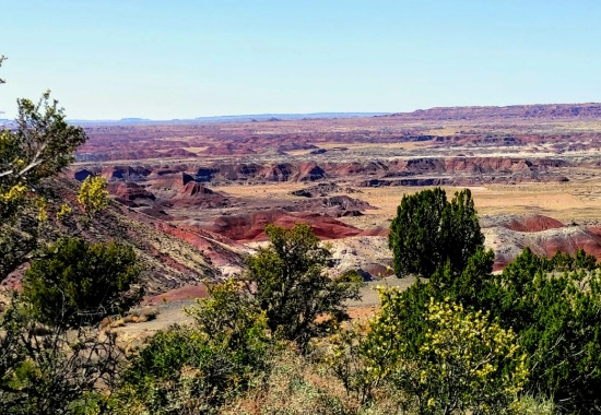 Arizona Desert Retreat in Navajo County Near Petrified Forest!
