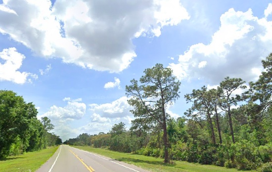 Near the Coast of Southwest Florida!