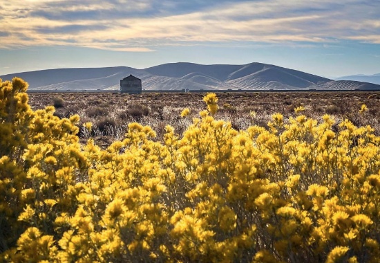 Experience a Unique Side of Los Angeles County, California!