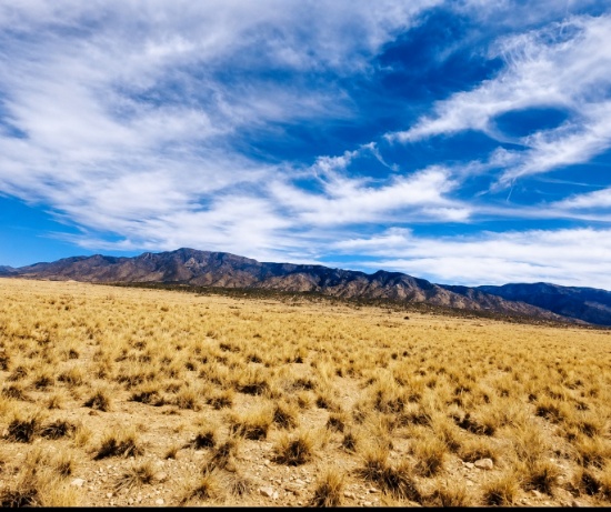 Quarter-Acre Lot Near the Mountains in New Mexico!