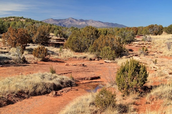 Economic Development and The Great Outdoors in New Mexico!