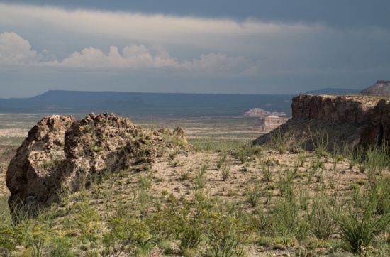 Highly Sought-After Texas Land Near Route 67!