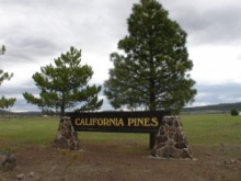 Build on Over an Acre in California Pines!