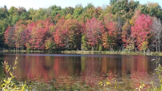 Double Lot with Private Lake Access in Michigan!