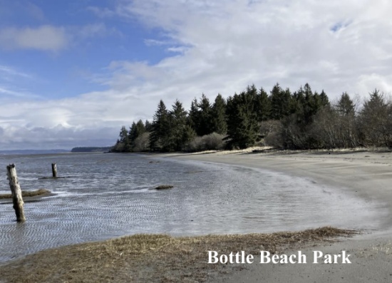 Wooded Grays Harbor, Washington Lot Near South Bay!