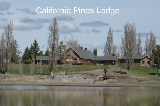 Your Getaway in Peaceful California Pines!