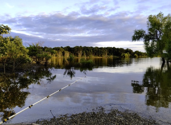 Your New Camping Spot in Missouri!