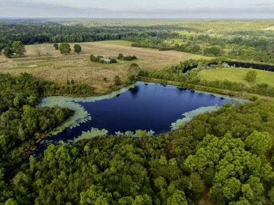 Wooded 1.5-Acre Lot in Florida - 1 Hour from Orlando!